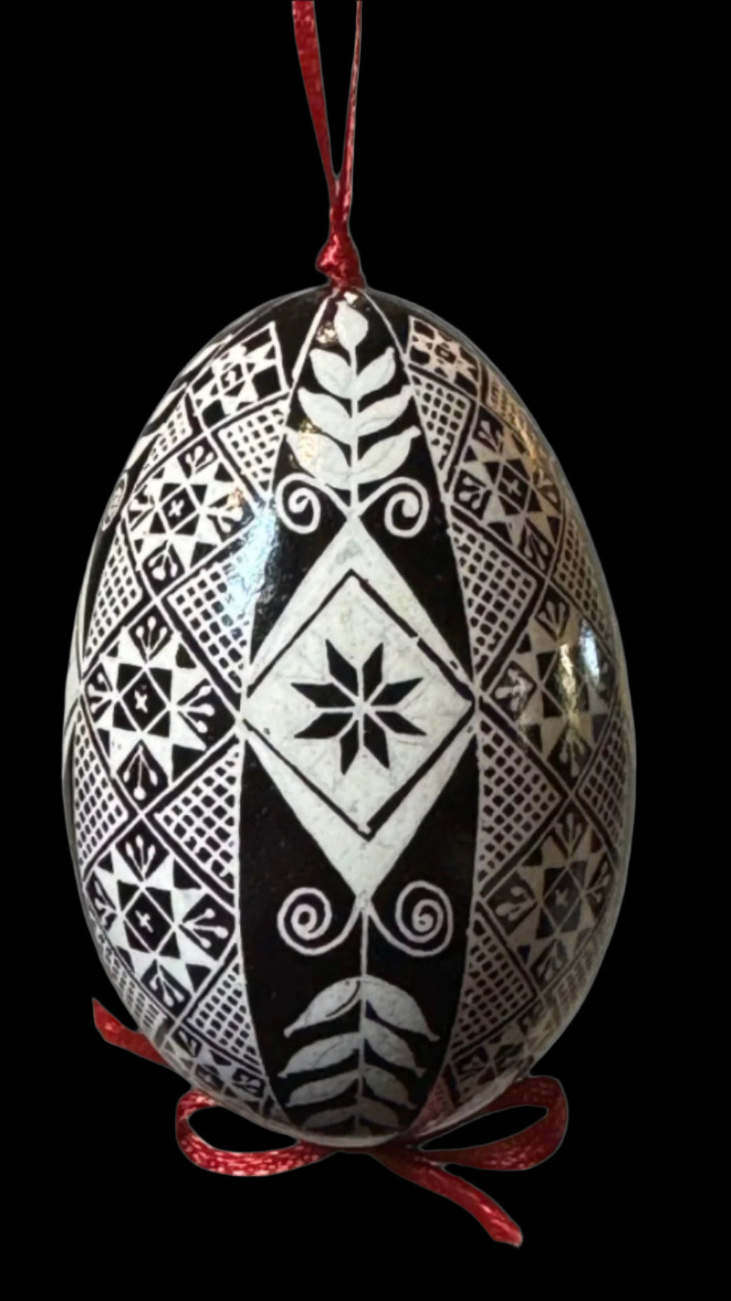 Authentic Ukrainian Pysanka on Goose Egg - Hand-Painted Collectible Folk Art # 13