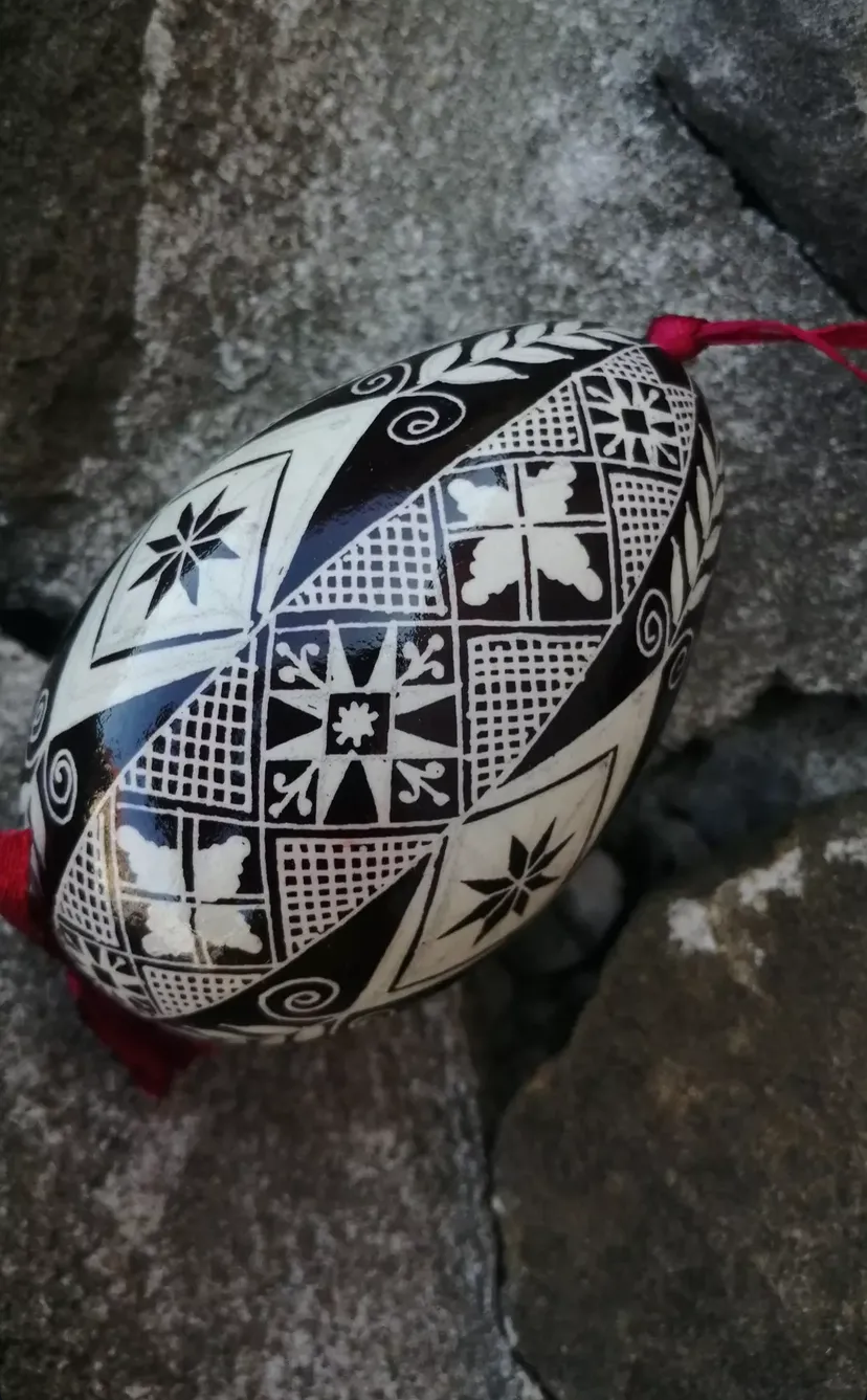 Authentic Ukrainian Pysanka on Goose Egg - Hand-Painted Collectible Folk Art # 13