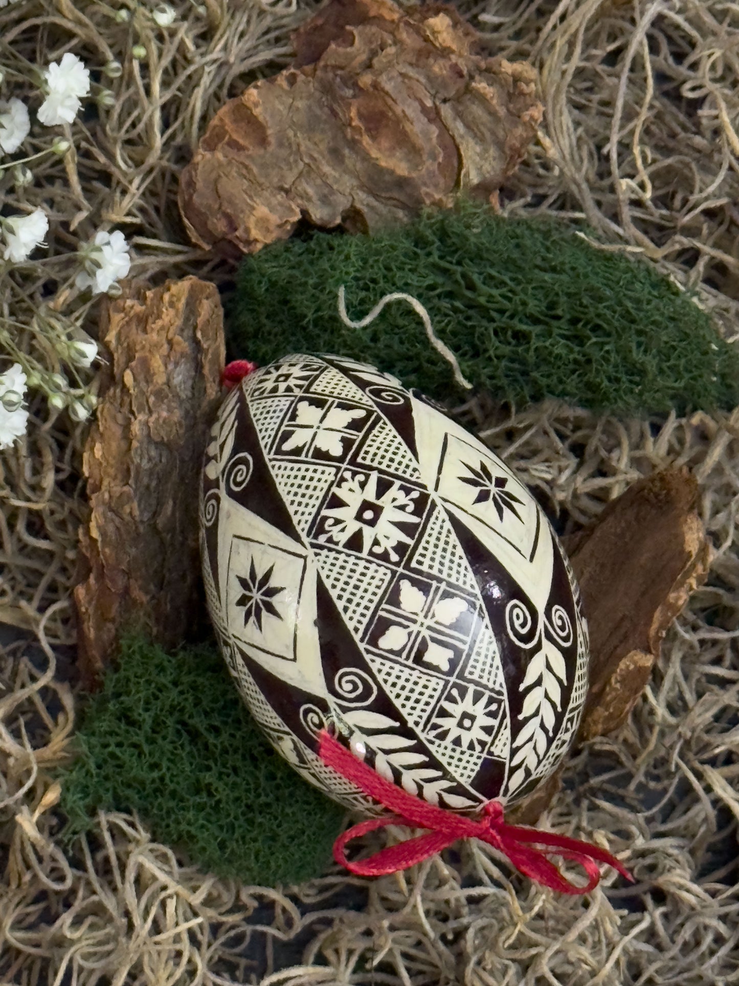 Authentic Ukrainian Pysanka on Goose Egg - Hand-Painted Collectible Folk Art # 13
