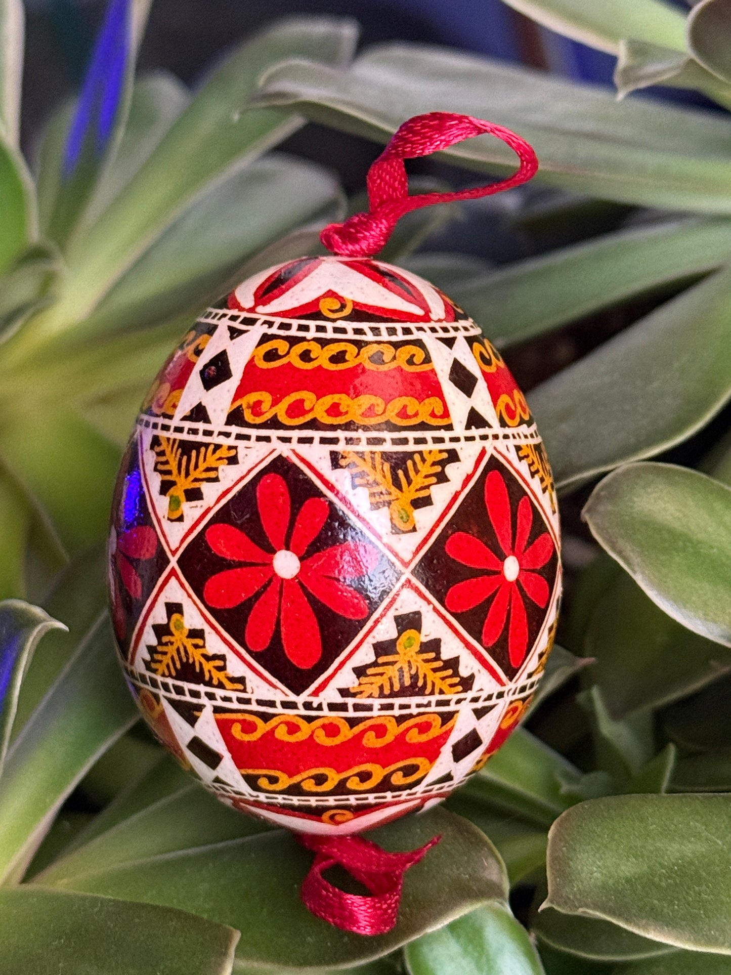 Hand-painted Ukrainian chicken Pysanka #8