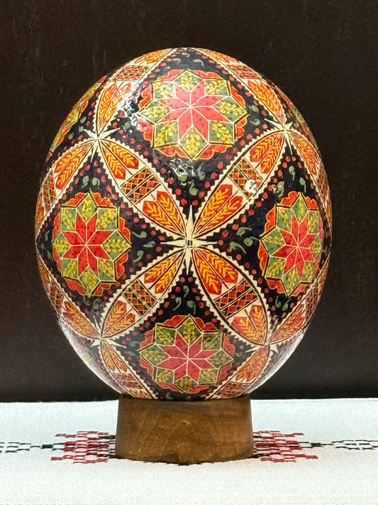 Ostrich Egg 1