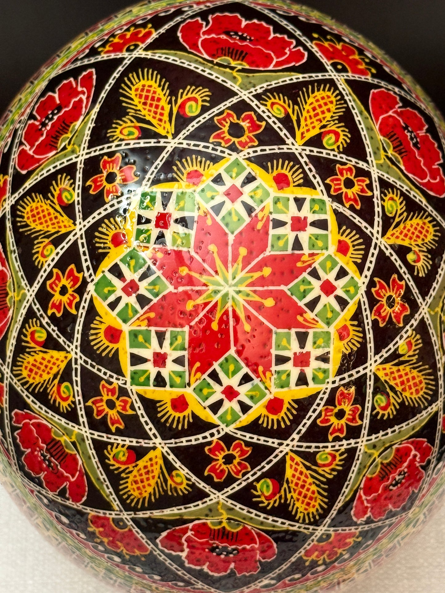 Ostrich Egg 5