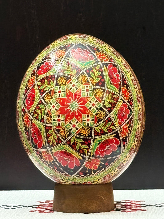Ostrich Egg 4