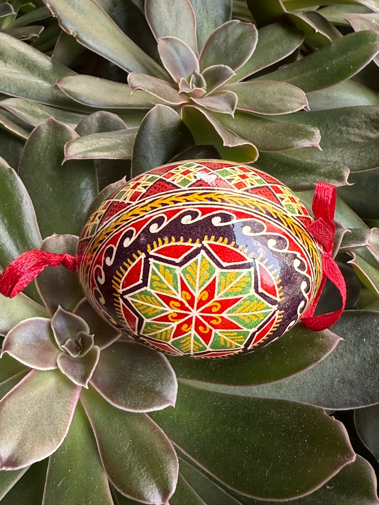 Hand-painted Ukrainian chicken Pysanka #4