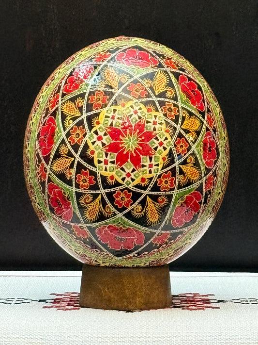 Ostrich Egg 5