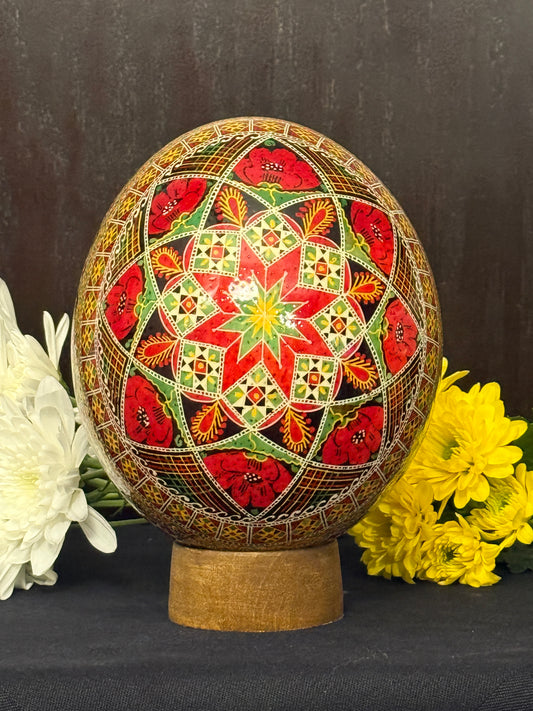 Ostrich Egg 5