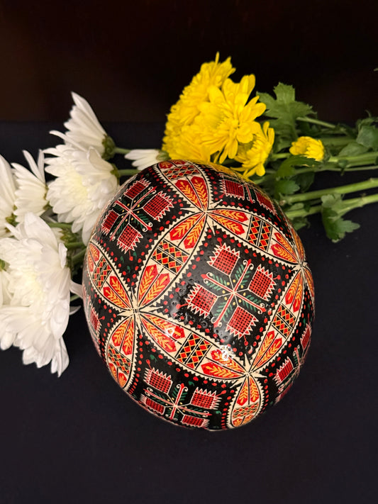 Ostrich Egg 9